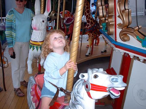 merry go round_ savannah.jpg 43.7K